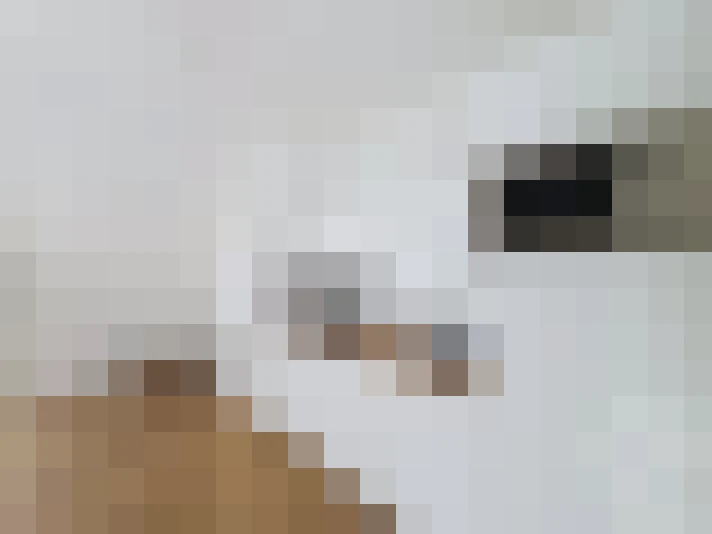  / #2