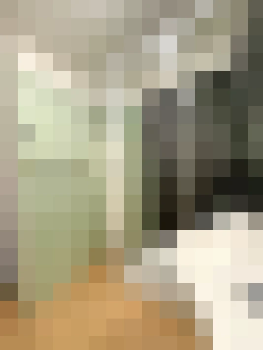  / #20