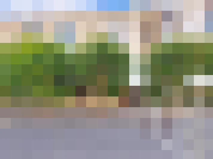  / #13