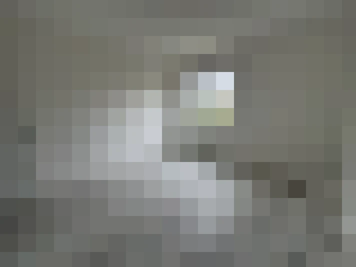  / #8