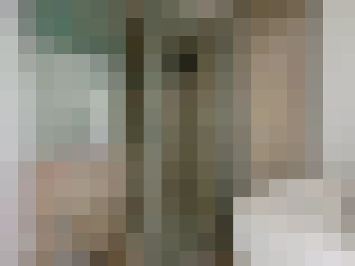  / #17