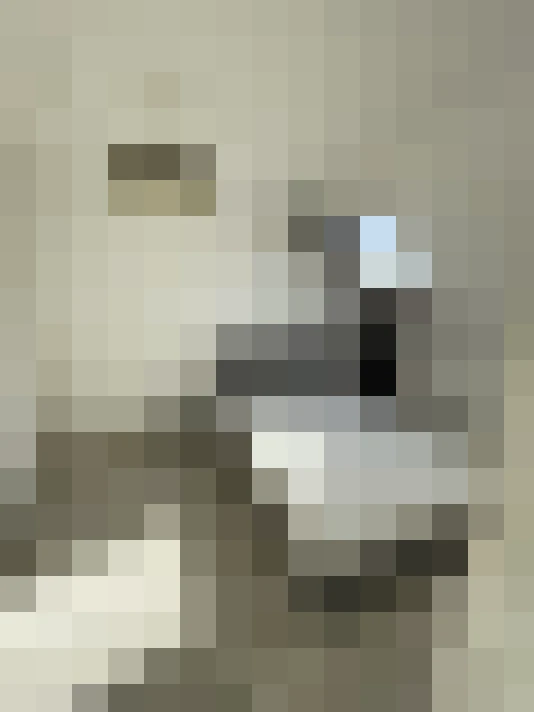  / #9