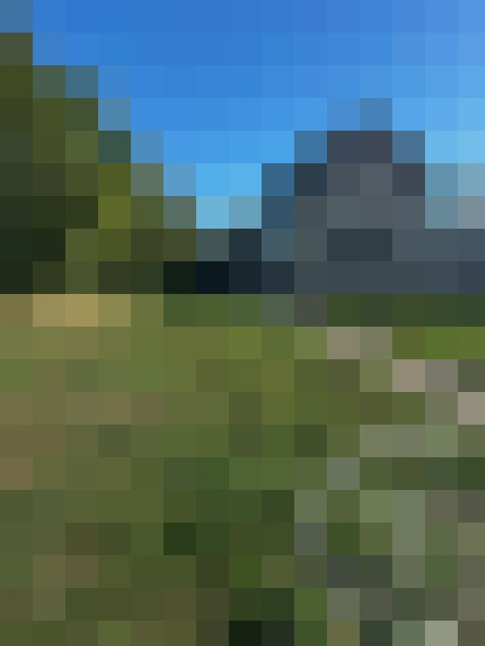  / #13