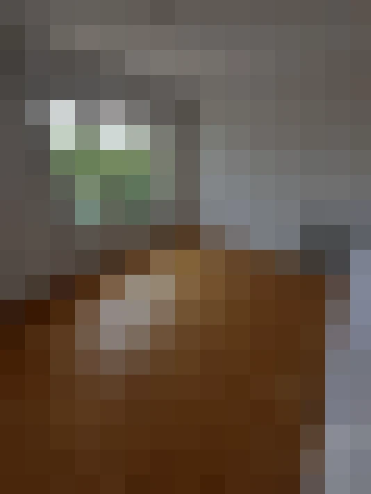  / #15