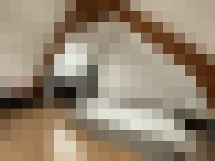  / #8