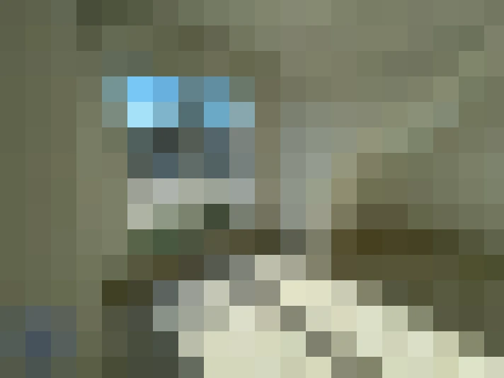  / #5