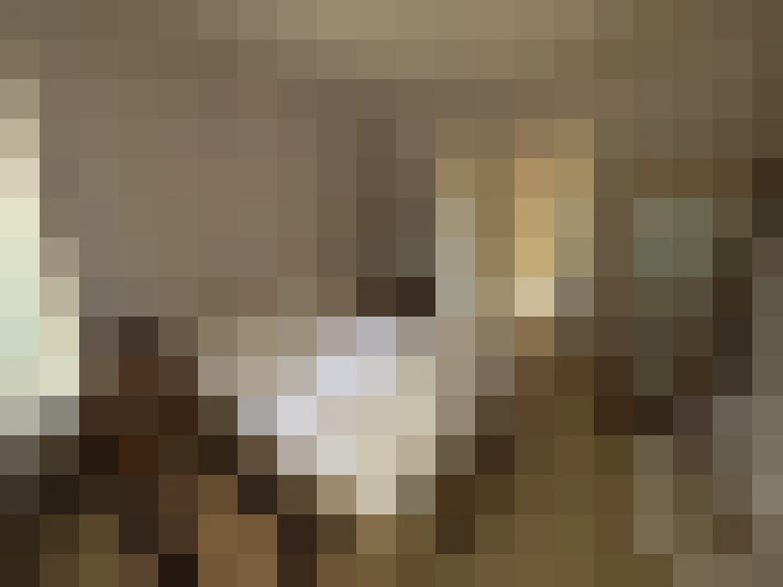  / #8