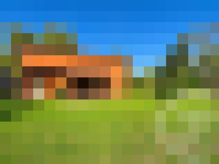  / #16