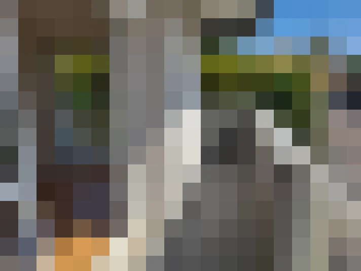  / #9