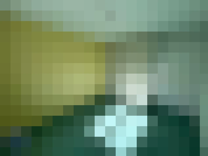  / #8