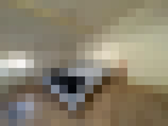  / #6