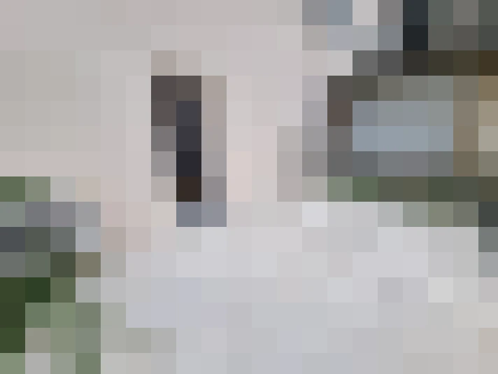  / #21