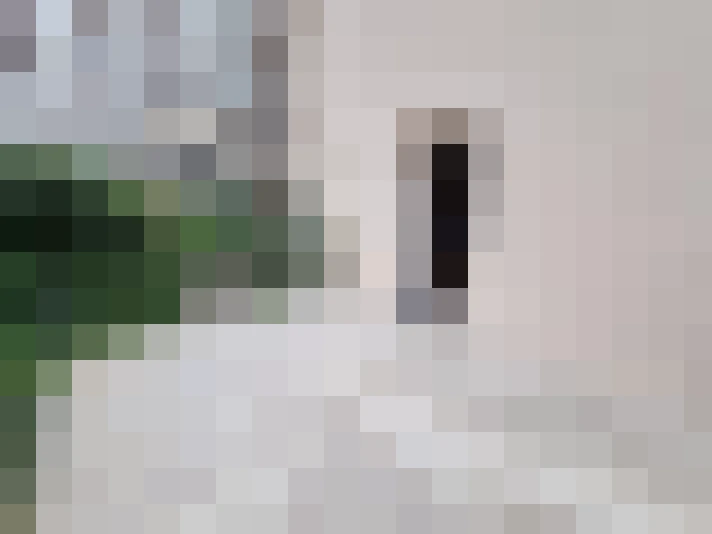  / #20