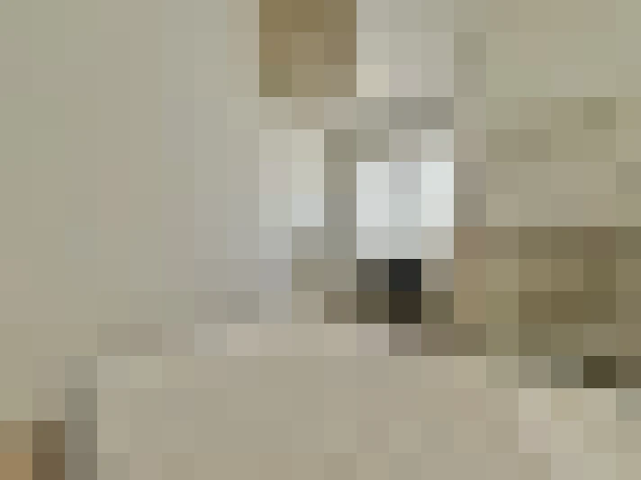 / #19