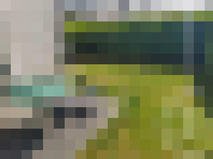  / #7
