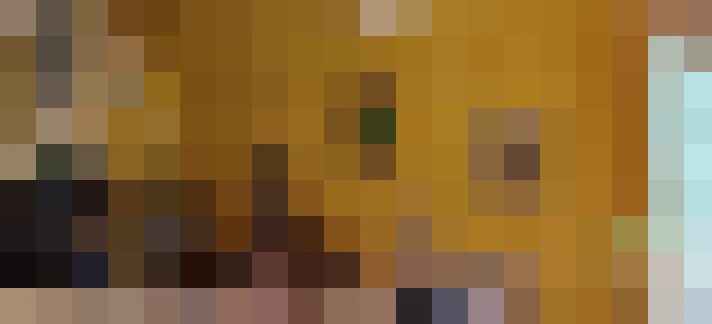  / #6