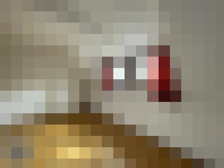  / #6