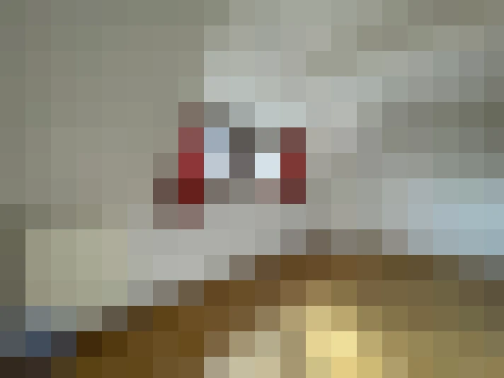 / #7