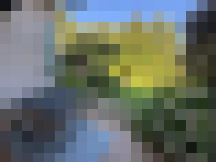  / #14