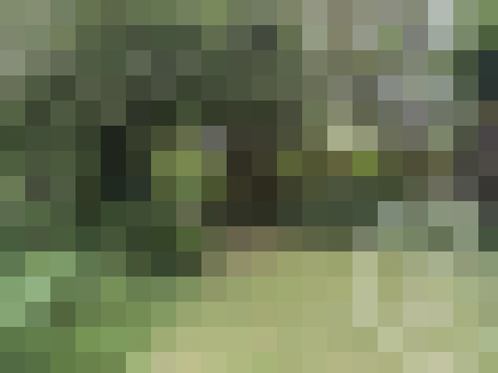  / #13