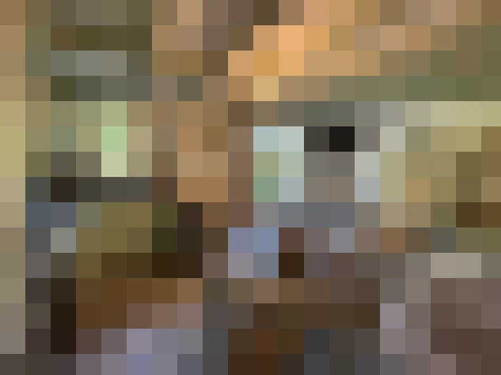  / #15
