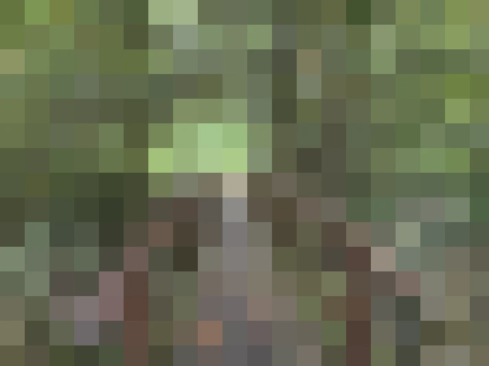  / #9
