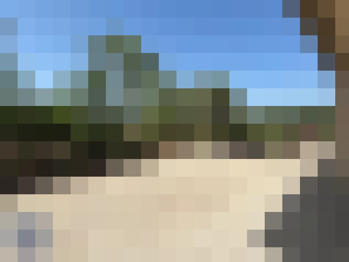  / #15