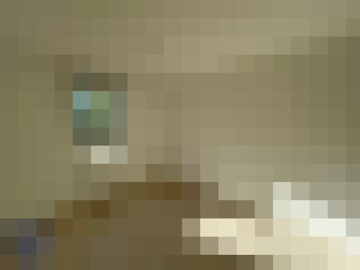  / #6