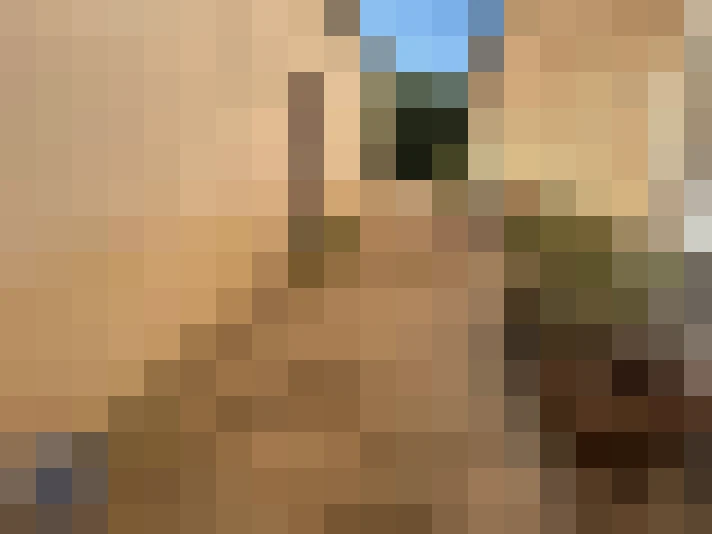  / #8