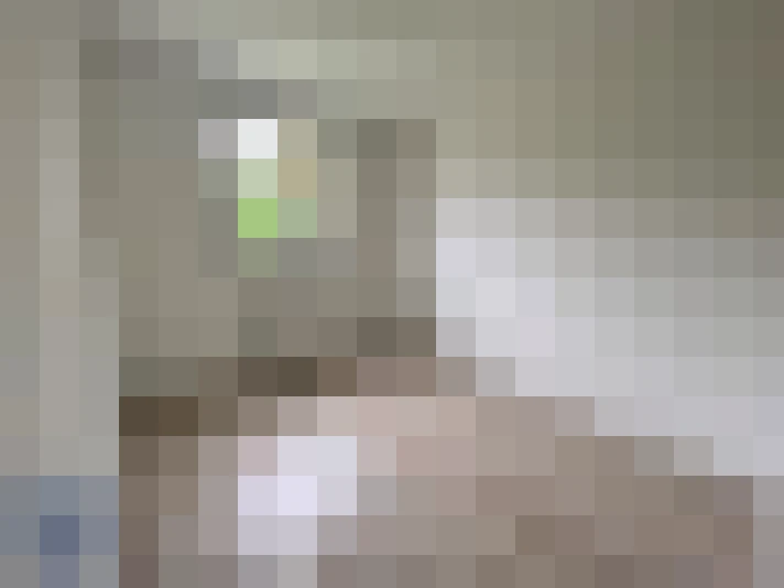  / #8