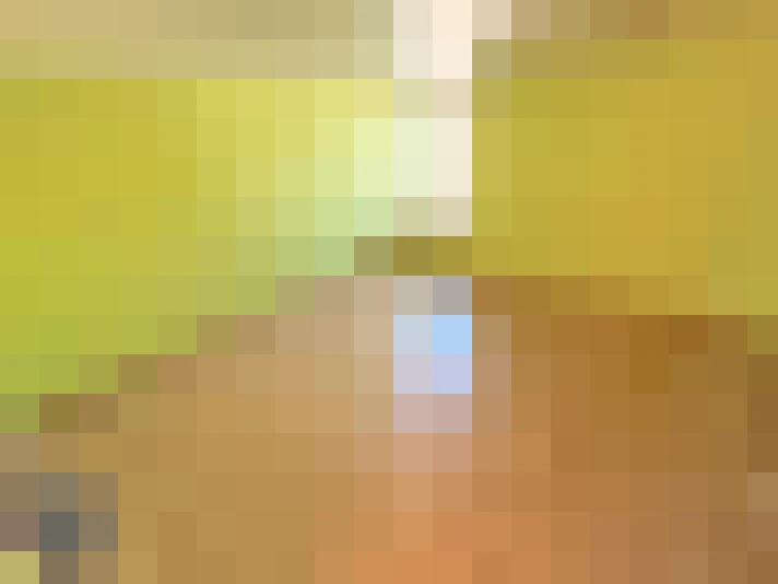 / #16