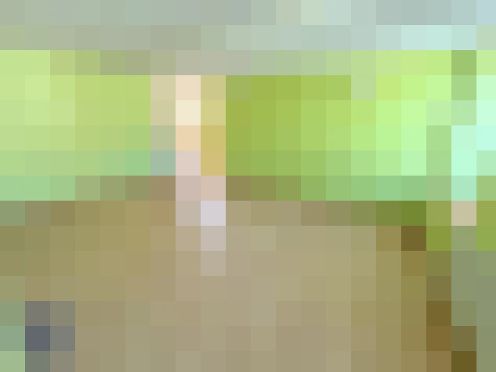  / #15
