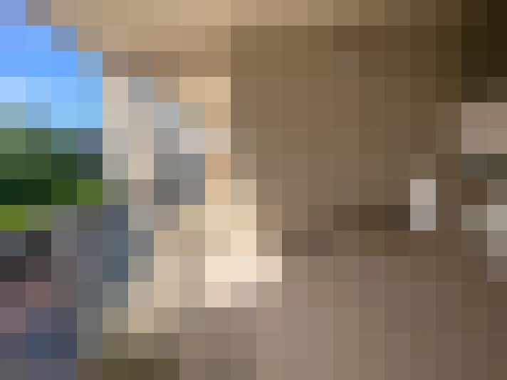  / #6