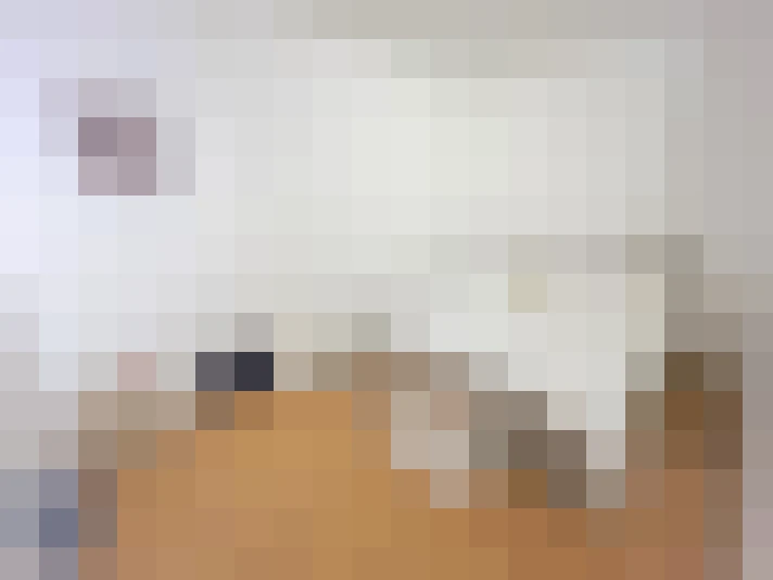  / #14