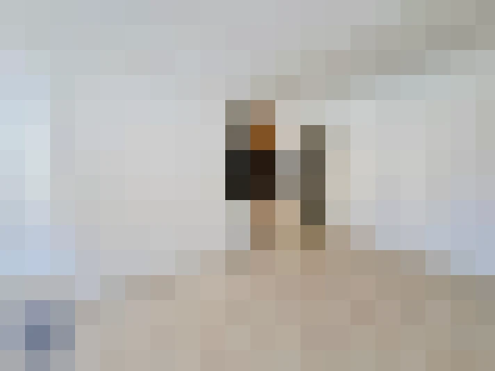  / #6