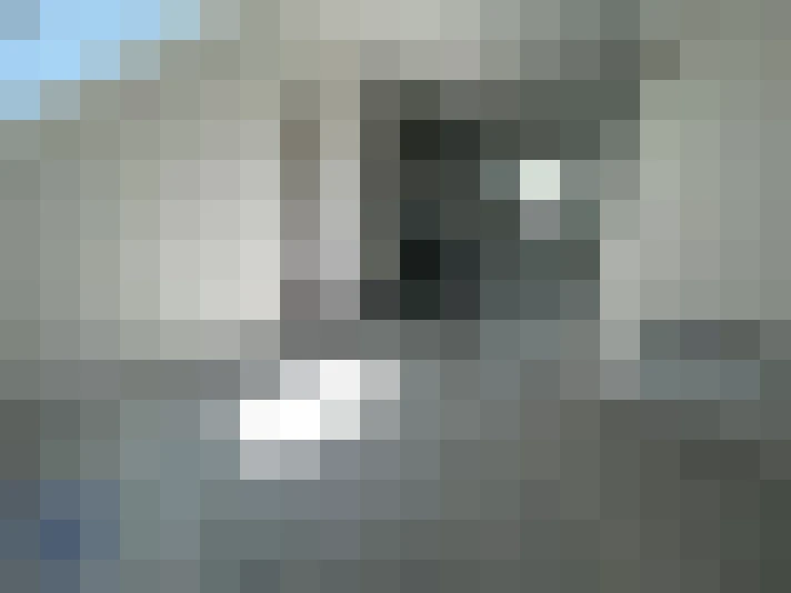  / #8