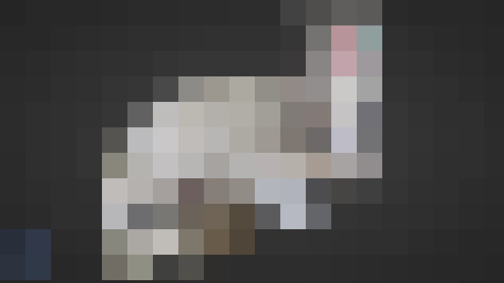  / #11