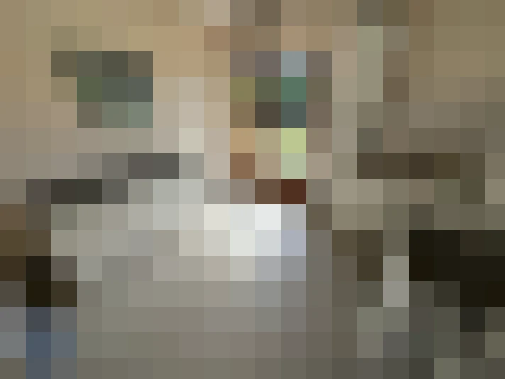  / #24