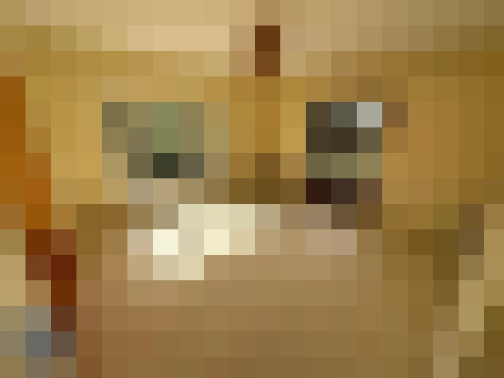  / #12