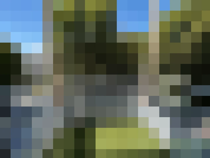  / #11