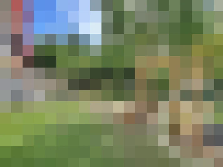  / #16