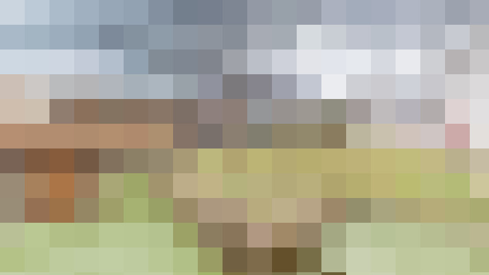  / #17