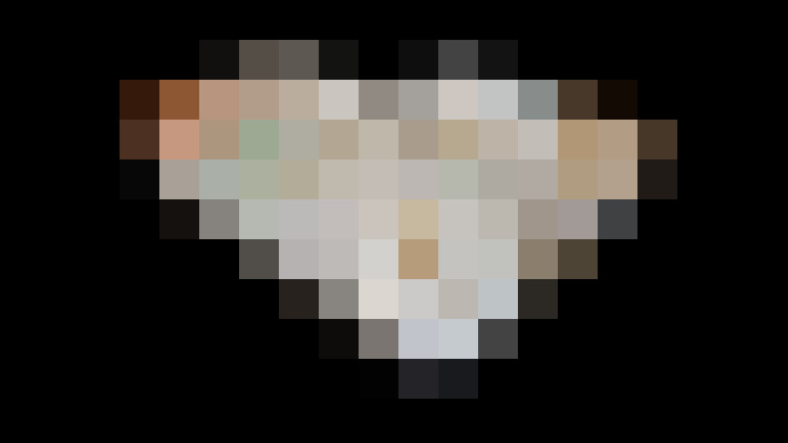  / #11