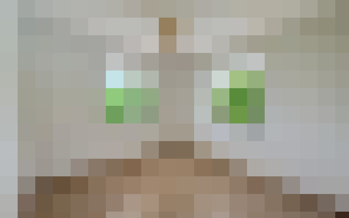  / #9