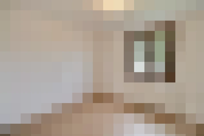  / #7
