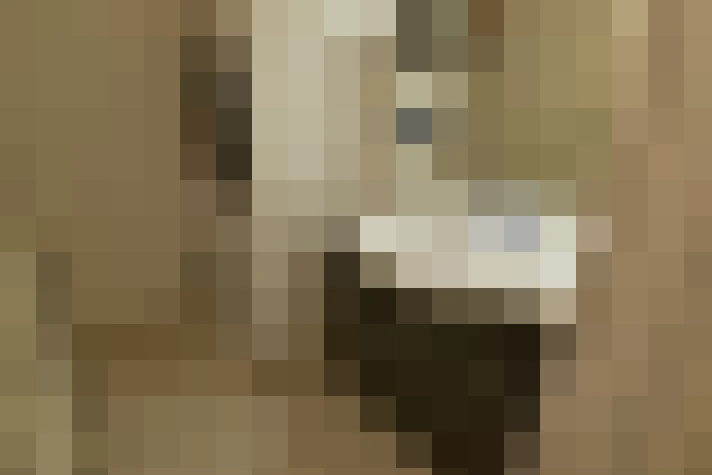  / #8