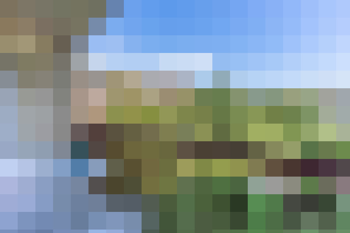  / #8