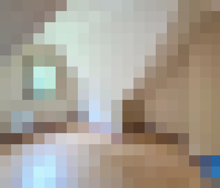  / #11