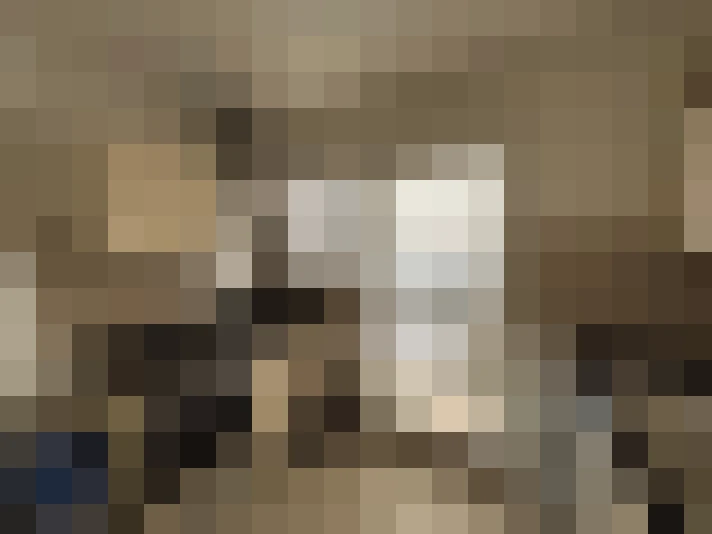  / #15