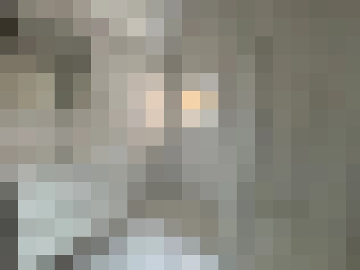  / #7